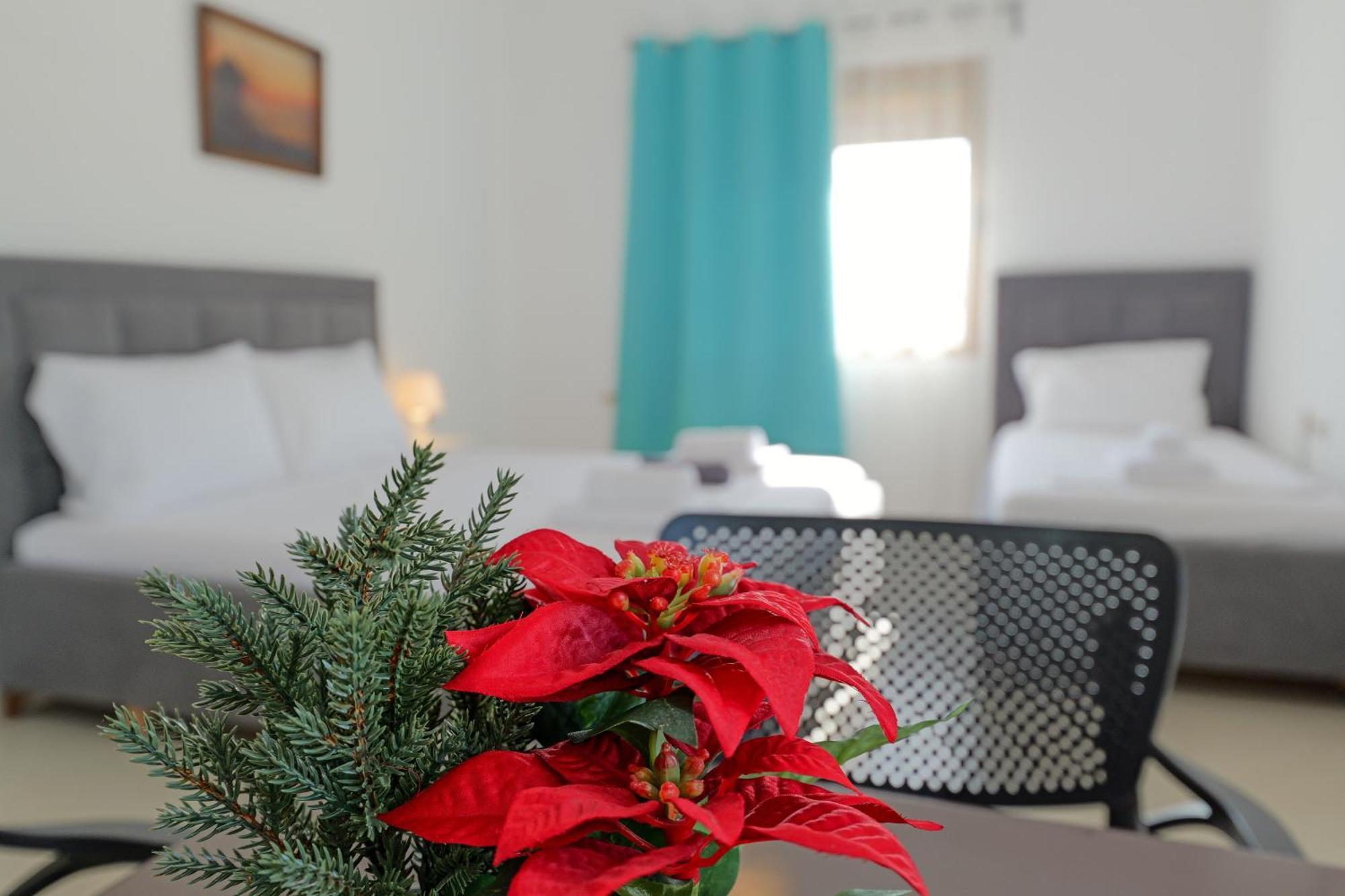 Central Garden Residence Sofia - Free Parking Εξαμίλιο Εξωτερικό φωτογραφία