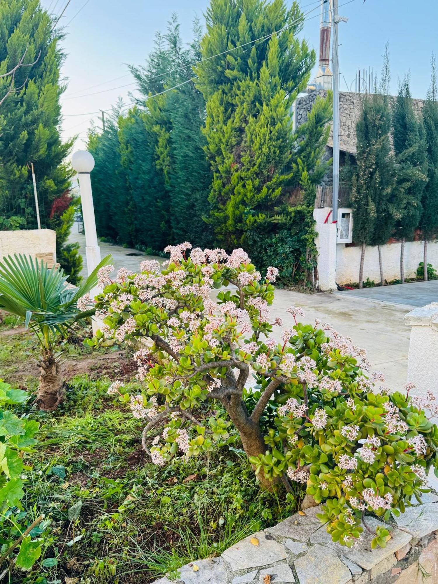 Central Garden Residence Sofia - Free Parking Εξαμίλιο Εξωτερικό φωτογραφία