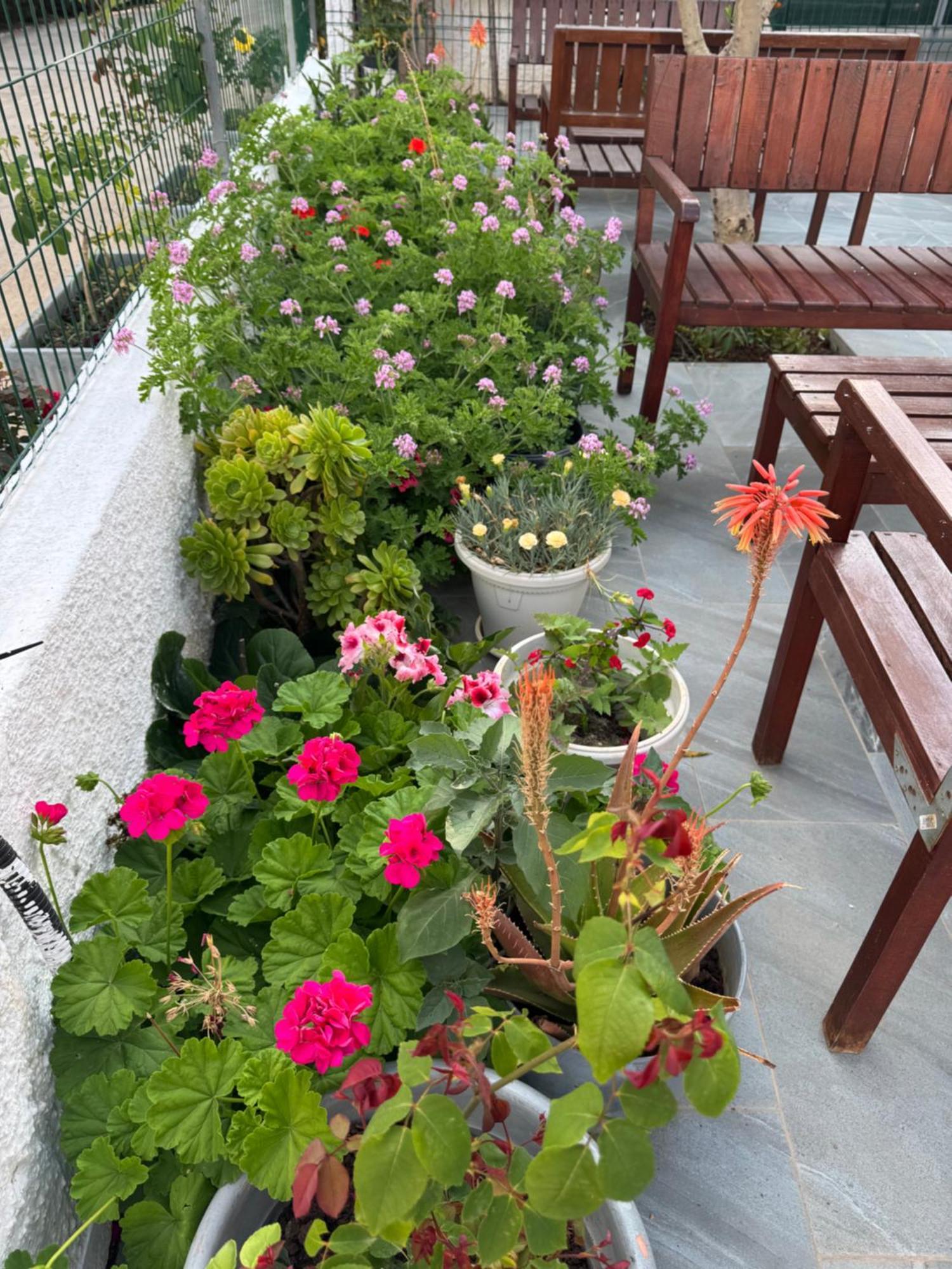 Central Garden Residence Sofia - Free Parking Εξαμίλιο Εξωτερικό φωτογραφία